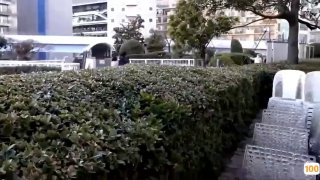 陆云精东影业JD026西舔取精之三操白骨精